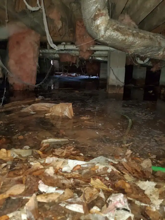 Crawl space flood assessment for Leak Detection & Repair in Northumberland