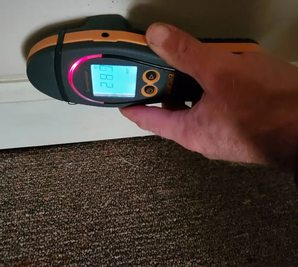 Moisture detection at baseboard during Sewage Cleanup & Sanitation in Northumberland